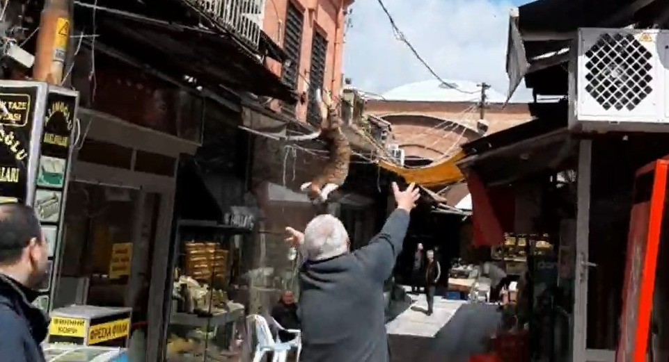 Edirne’de bir iş yerinin tabelasında mahsur kalan yavru kedi için itfaiye ekipleri seferber oldu. Ekiplerin çalışmaları sırasında kedi yüksekten ...