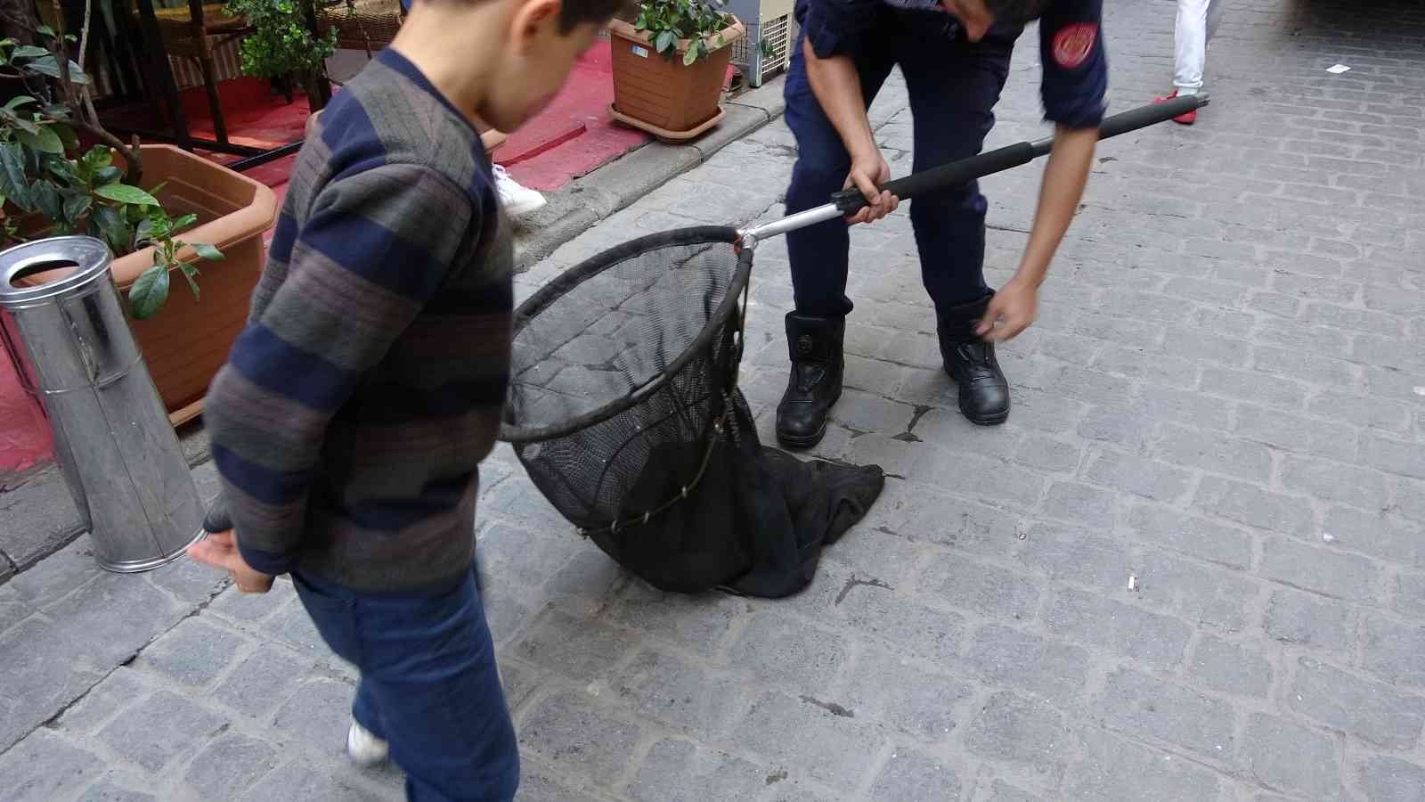 İstiklal Caddesi’nde bulunan bir restoranın bacasına kedi girdi. İtfaiye erleri tarafından uzun uğraşlar sonucu bacadan çıkartılan kedi tedavi ...