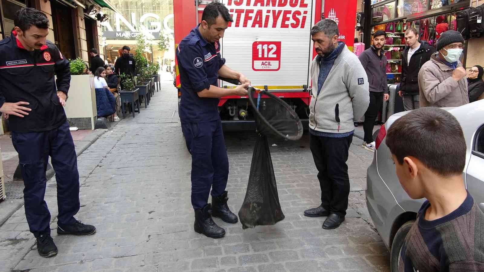 İstiklal Caddesi’nde bulunan bir restoranın bacasına kedi girdi. İtfaiye erleri tarafından uzun uğraşlar sonucu bacadan çıkartılan kedi tedavi ...