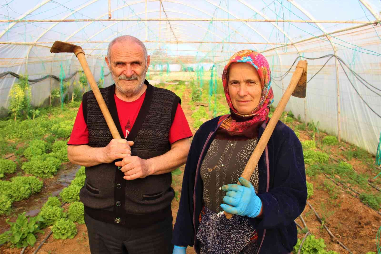 Kocaeli’nin Gebze ilçesinde yıllardır seracılık işi yapan bir aile, emek verip ürettikleri ürünlerin kendilerinden cüzi bir miktara satın ...