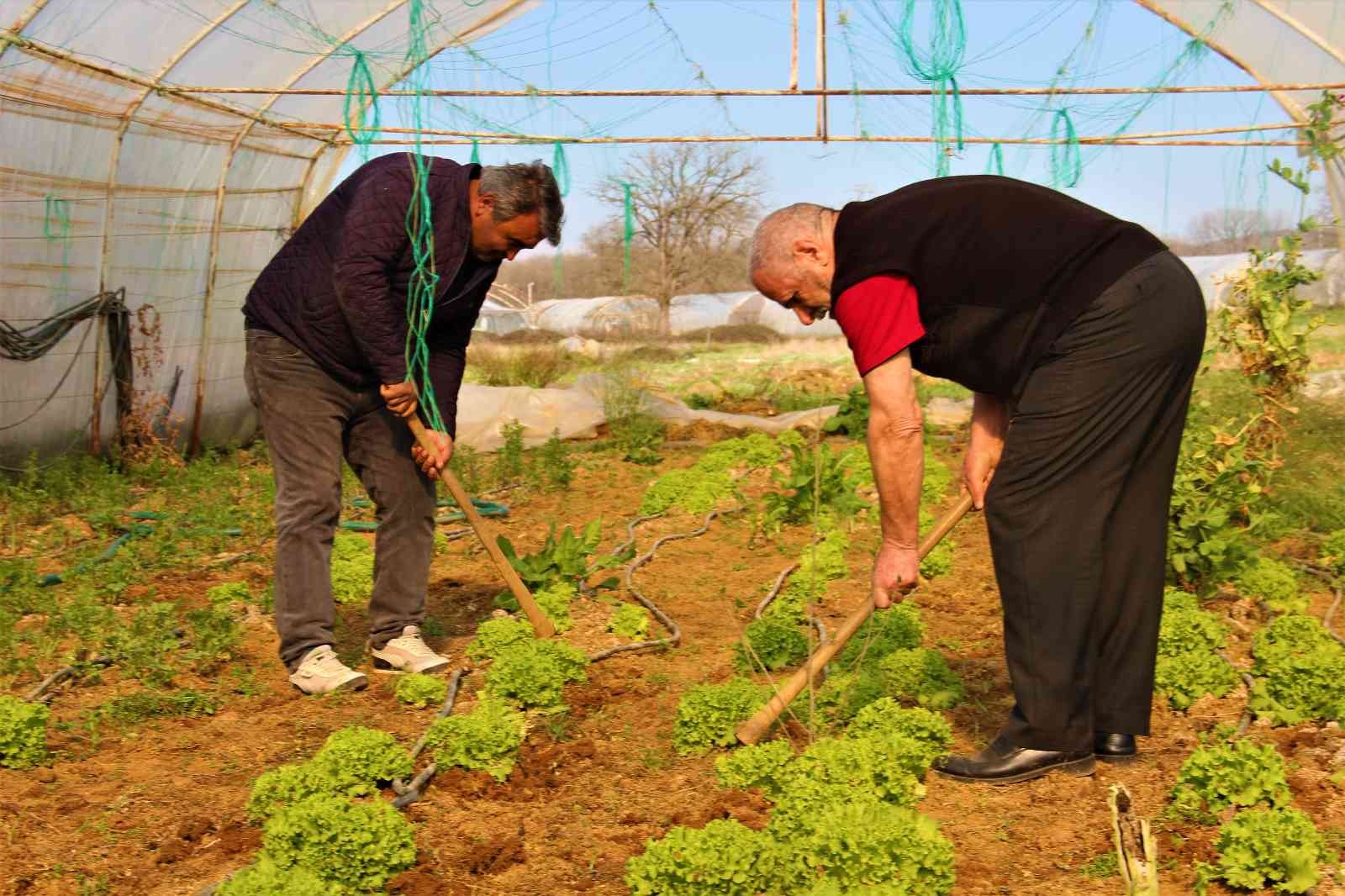 Kocaeli’nin Gebze ilçesinde yıllardır seracılık işi yapan bir aile, emek verip ürettikleri ürünlerin kendilerinden cüzi bir miktara satın ...