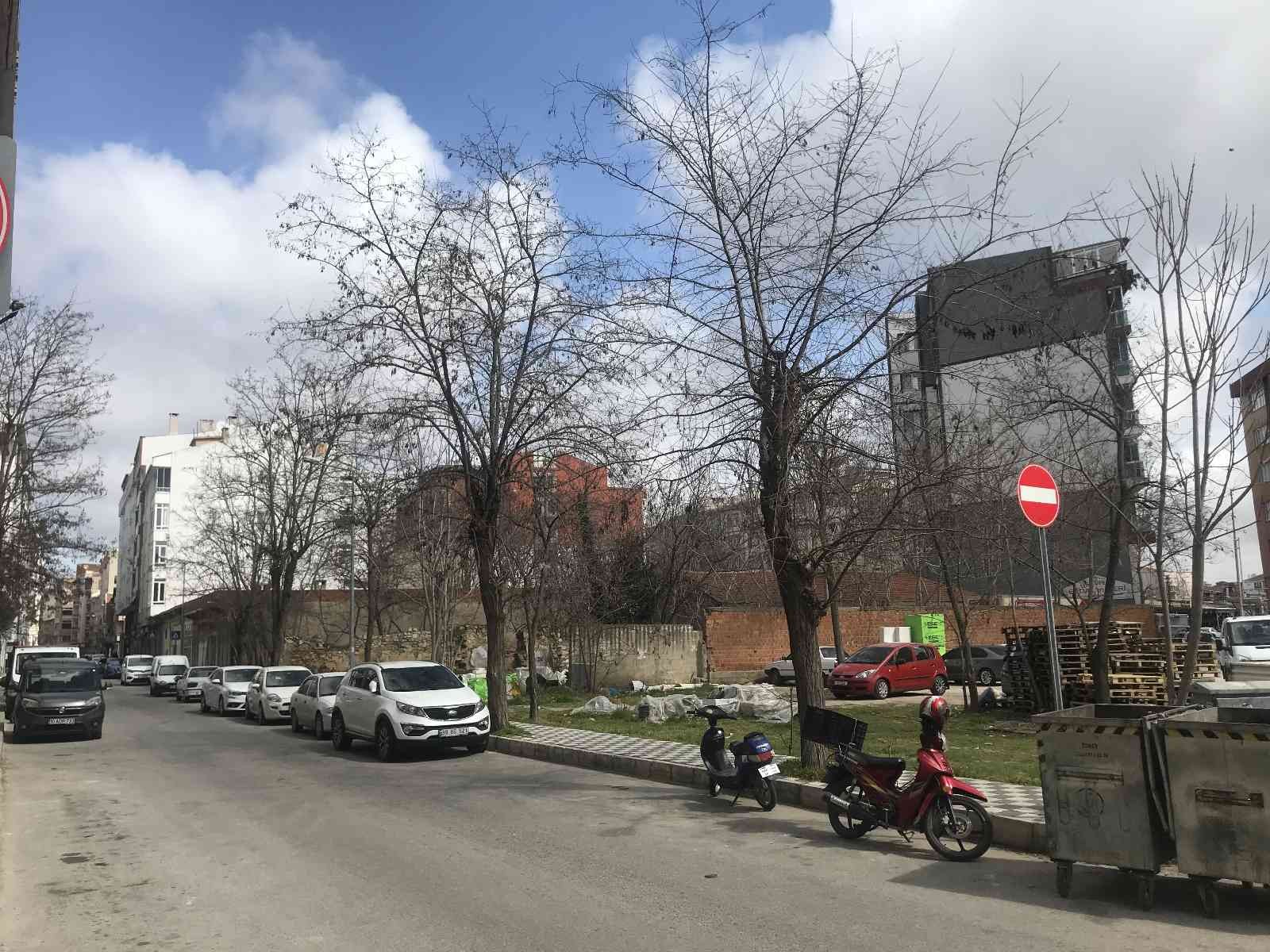 Kırklareli şehir merkezinde bazı cadde ve sokaklardaki ağaçların iki yıldır budanmadığını belirten esnaf ve vatandaşlar, belediye yetkililerinin ...