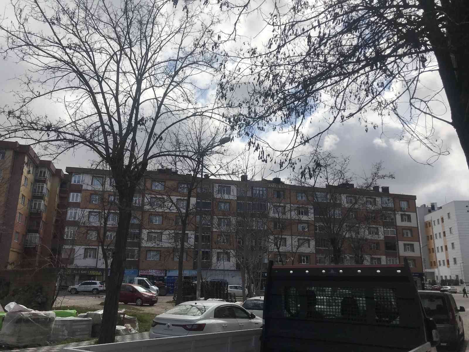 Kırklareli şehir merkezinde bazı cadde ve sokaklardaki ağaçların iki yıldır budanmadığını belirten esnaf ve vatandaşlar, belediye yetkililerinin ...