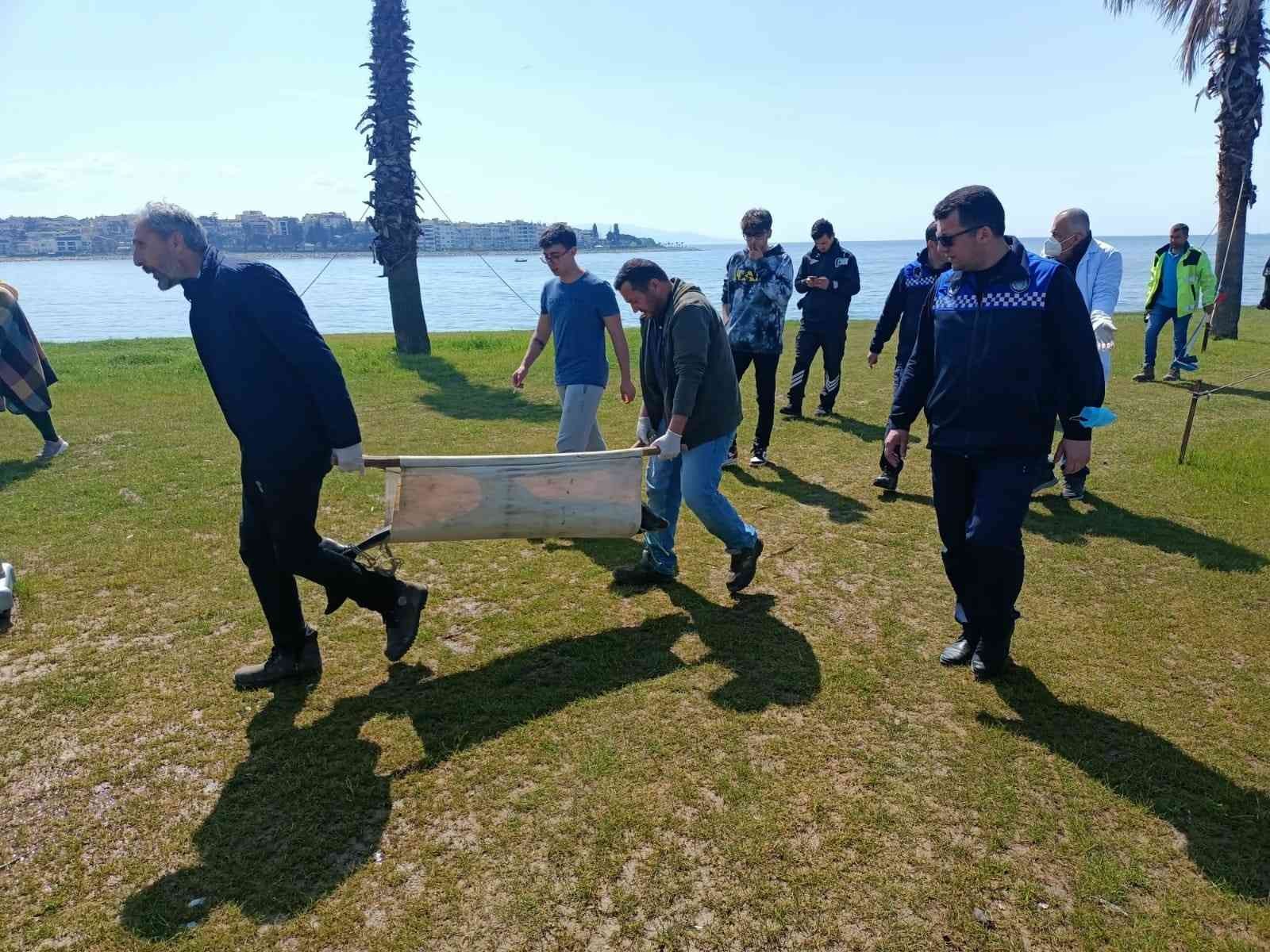 Kocaeli’nin Darıca ilçesinde sahile ölü yunus balığı vurdu. Olay, Bayramoğlu Mahallesi’nde bulunan Balyanoz Koyu’nda meydana geldi. Edinilen ...