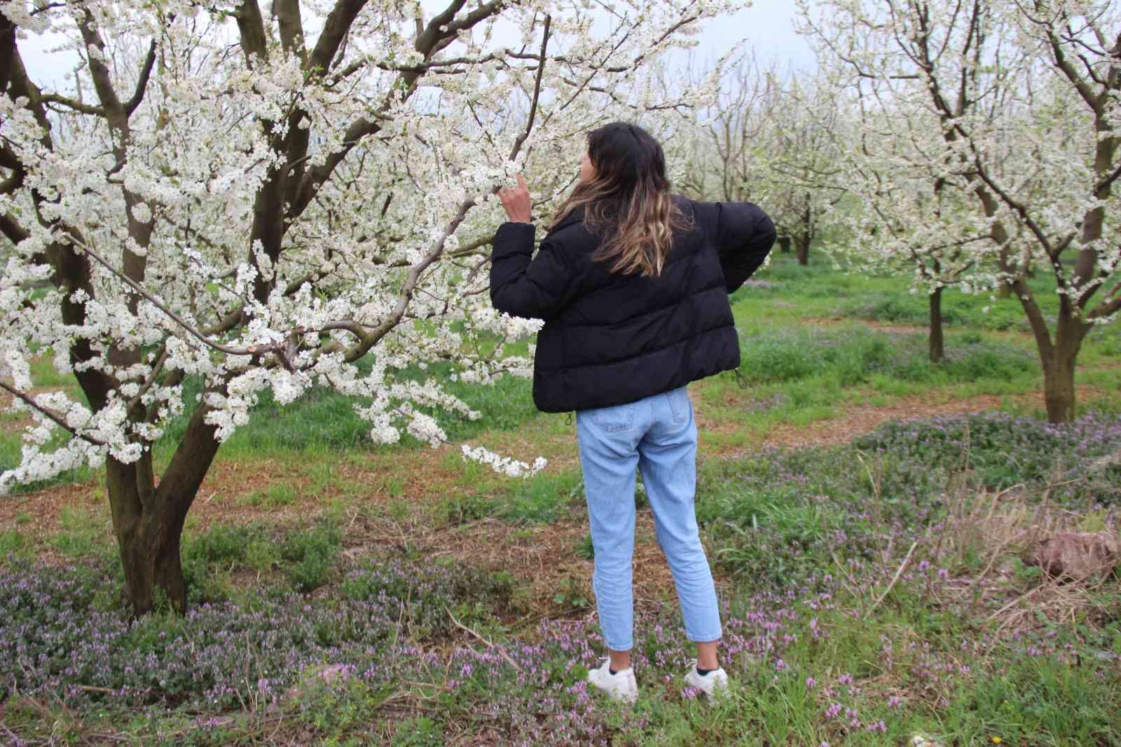 Kocaeli’nin Kartepe ilçesinde yetişen ve lezzetiyle ün salan Eşme eriği ağaçları çiçek açtı. Üreticiler, soğuk hava sebebiyle erik ağaçlarının ...