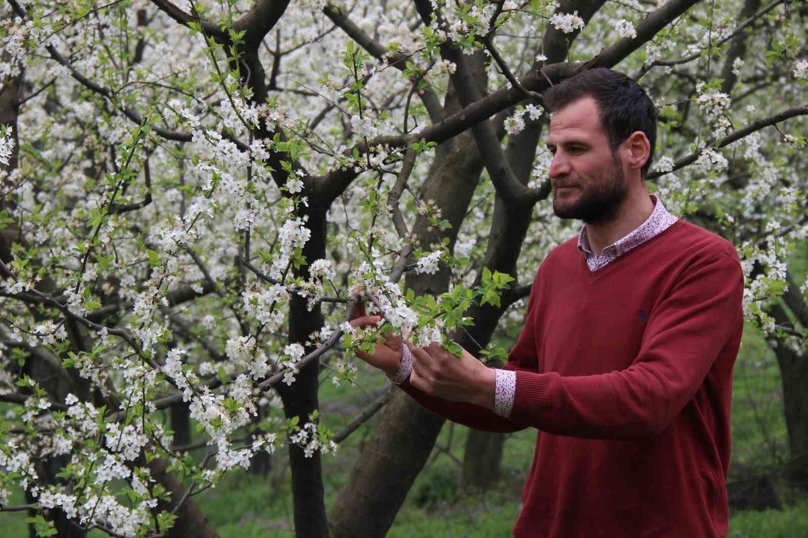 Kocaeli’nin Kartepe ilçesinde yetişen ve lezzetiyle ün salan Eşme eriği ağaçları çiçek açtı. Üreticiler, soğuk hava sebebiyle erik ağaçlarının ...