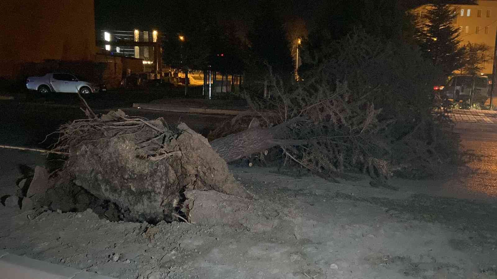 Lodosun etkisiyle ağaç devrildi, yol kapandı BURSA (İHA) - Bursa’nın İnegöl ilçesinde lodosun etkisiyle ağaç devrildi, yol ulaşıma kapandı ...