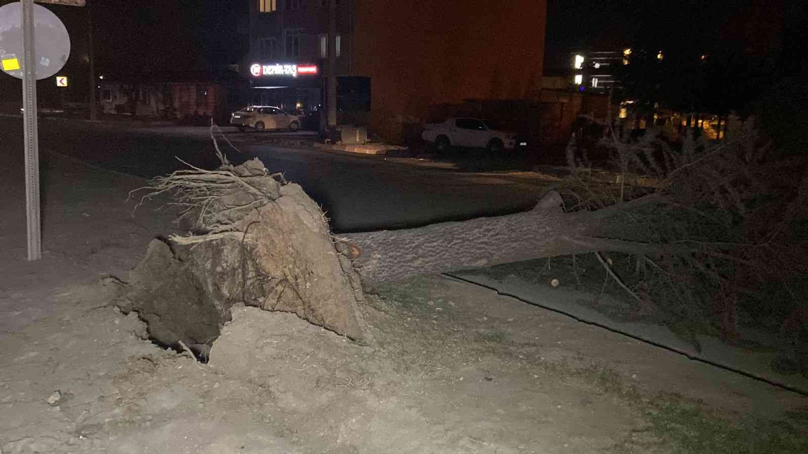 Lodosun etkisiyle ağaç devrildi, yol kapandı BURSA (İHA) - Bursa’nın İnegöl ilçesinde lodosun etkisiyle ağaç devrildi, yol ulaşıma kapandı ...