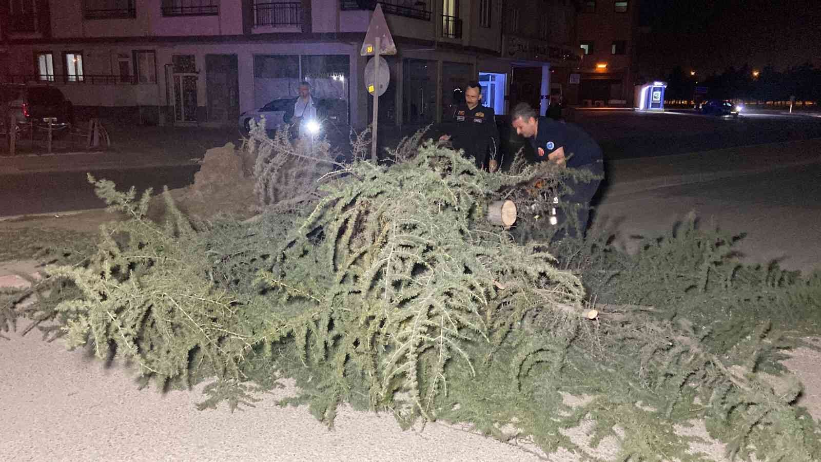 Lodosun etkisiyle ağaç devrildi, yol kapandı BURSA (İHA) - Bursa’nın İnegöl ilçesinde lodosun etkisiyle ağaç devrildi, yol ulaşıma kapandı ...