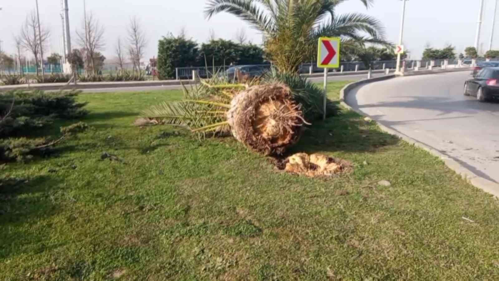 Maltepe sahil yolunda sürücüsünün direksiyon hakimiyetini kaybettiği otomobil kaldırıma çıkarak yolun kenarındaki otluk alana fırladı. İçerisinde ...