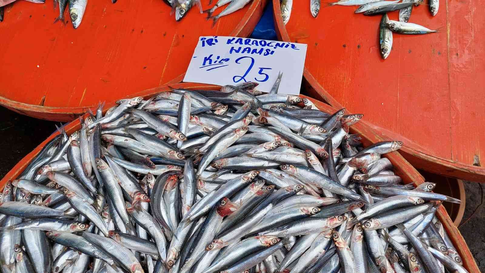 Karadeniz’de mayın görülmesi üzerine birçok balıkçı denizden çekilirken, Tekirdağ’da hamsi ve istavritin kilogramı 25 TL’den satılmaya devam ...