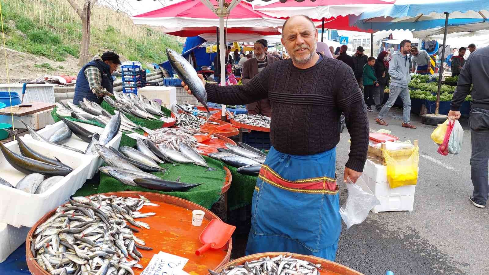 Karadeniz’de mayın görülmesi üzerine birçok balıkçı denizden çekilirken, Tekirdağ’da hamsi ve istavritin kilogramı 25 TL’den satılmaya devam ...