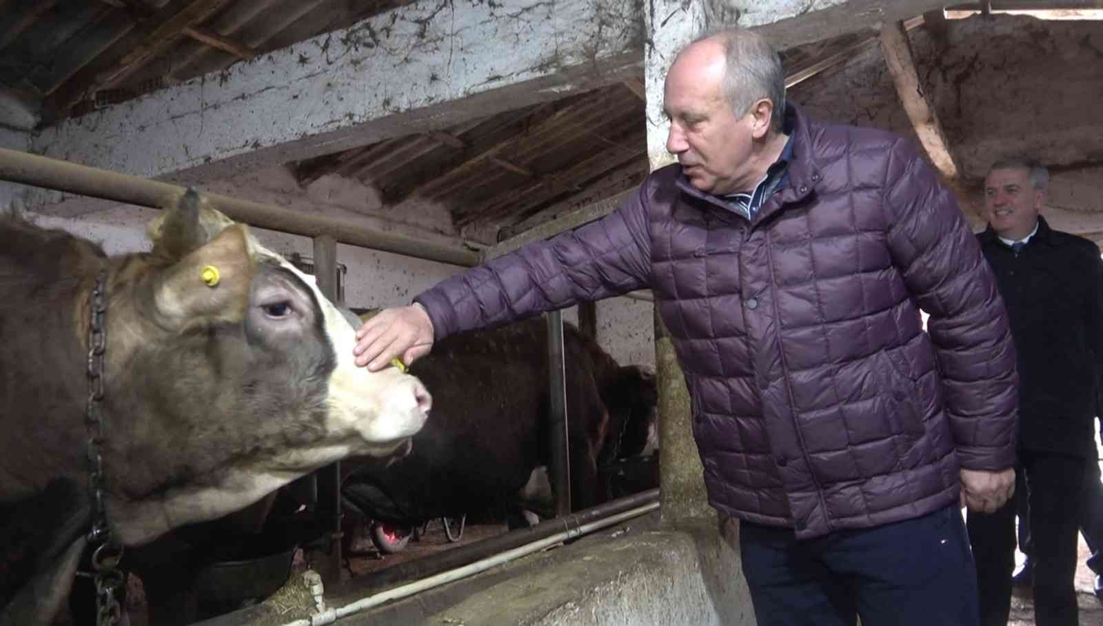 Memleket Partisi Genel Başkanı Muharrem İnce, bir ahırda düzenlediği basın toplantısıyla partisinin tarım politikalarını açıkladı. İnce ...