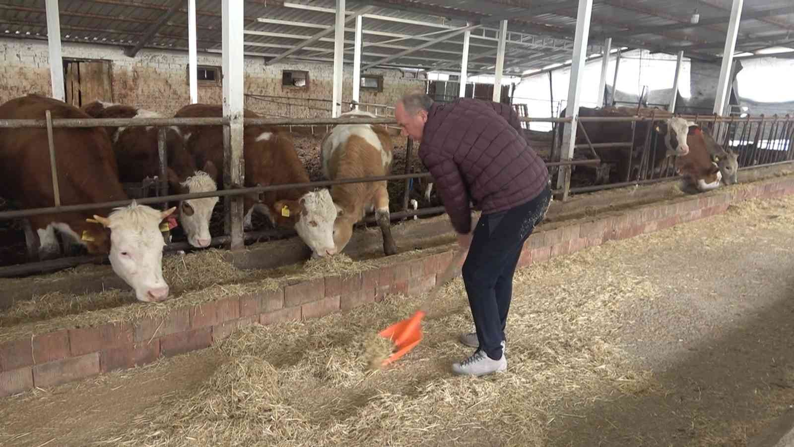 Memleket Partisi Genel Başkanı Muharrem İnce, bir ahırda düzenlediği basın toplantısıyla partisinin tarım politikalarını açıkladı. İnce ...