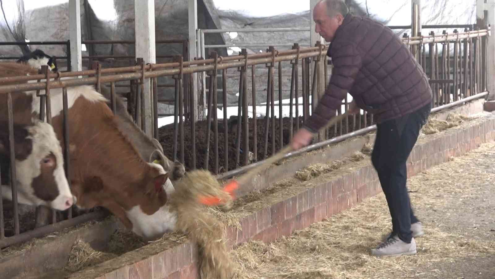 Memleket Partisi Genel Başkanı Muharrem İnce, bir ahırda düzenlediği basın toplantısıyla partisinin tarım politikalarını açıkladı. İnce ...