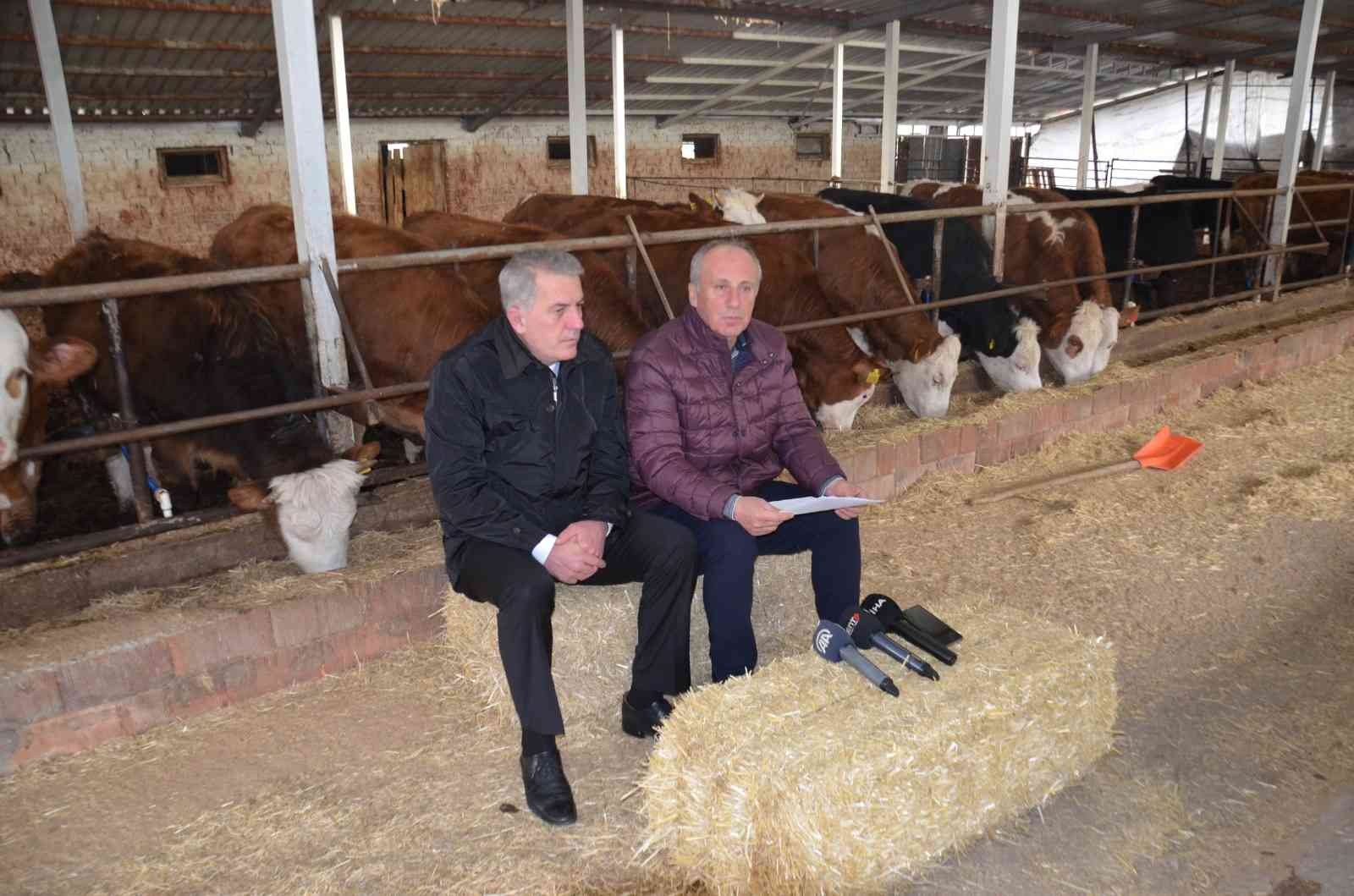 Memleket Partisi Genel Başkanı Muharrem İnce, bir ahırda düzenlediği basın toplantısıyla partisinin tarım politikalarını açıkladı. İnce ...