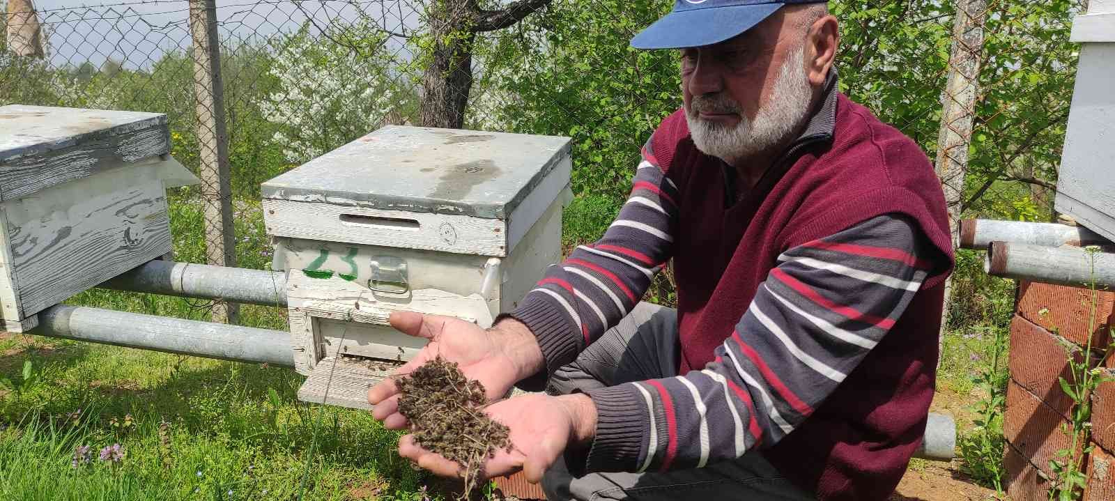 Bursa’da ruhsatsız tarım ilaçlarından zehirlendiği düşünülen yüzlerce kovan arı telef oldu. Arı üreticileri kara kara düşünmeye başladı. Telef ...