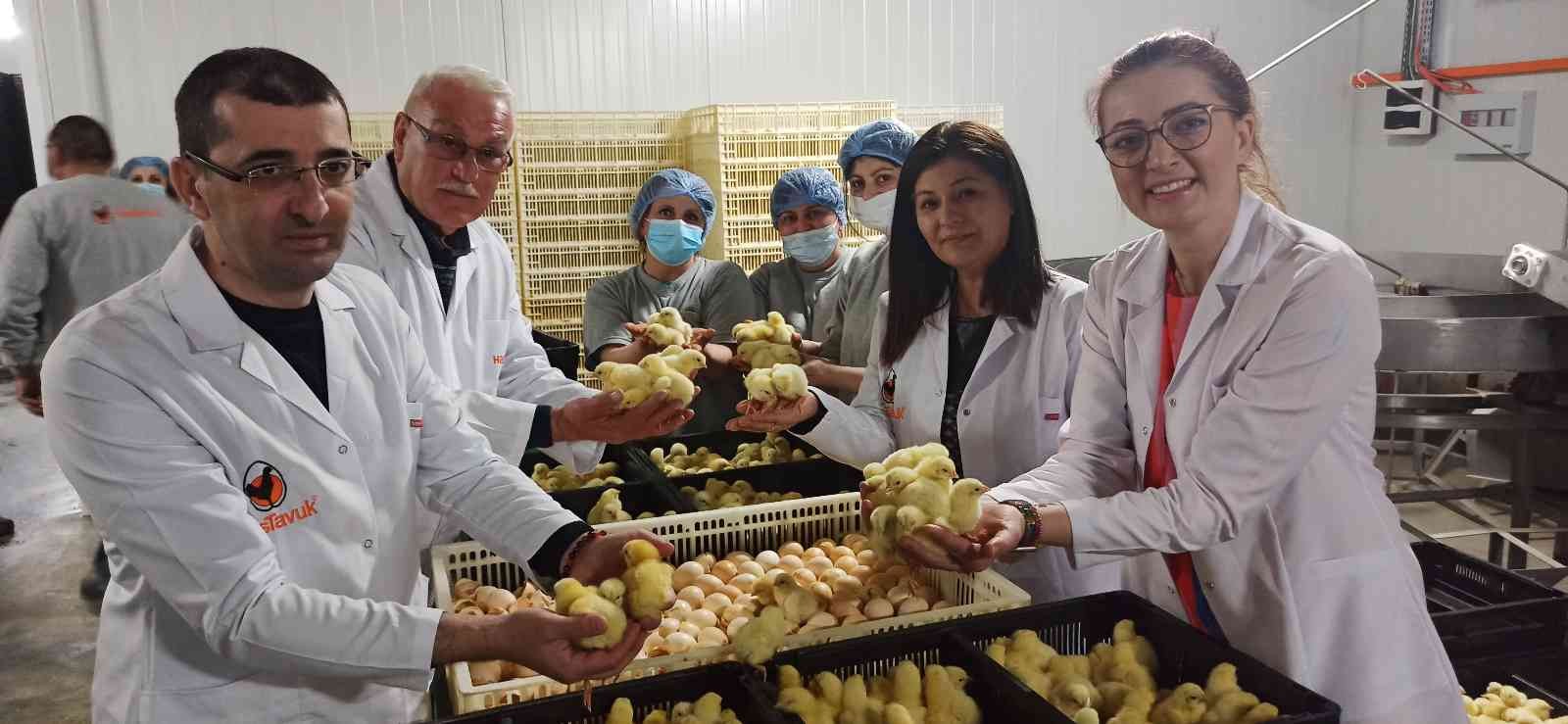 Türk civcivi; Gürcistan’dan çıkıp dünyayı feth etmeyi planlıyor. Beyaz et sektörünün ihracat rekortmeni Bursalı tavuk firması Türkiye’de bir ilke ...