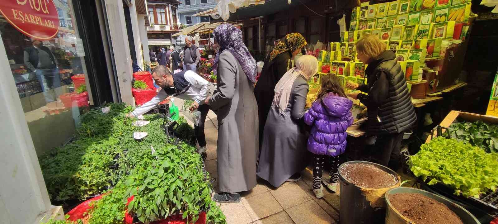 Pazarda marul, domates ve salatalık fiyatlarının 20, maydanoz, dereotu, roka gibi yeşilliklerin de 7-8 liraya yükselmesiyle birlikte vatandaşlar ...