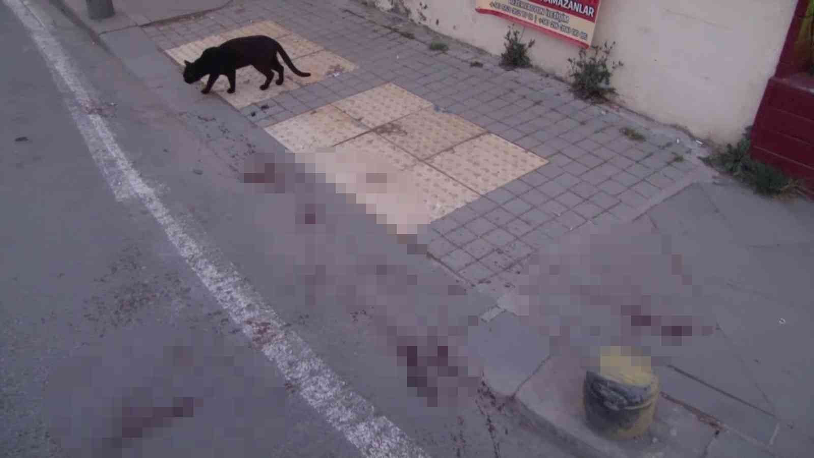 Pendik’te alacak verecek meselesinden çıkan kavgada şahıslar sokak ortasında birbirine girdi. Kavgaya karışan iki kişi tabancayla vurularak ...