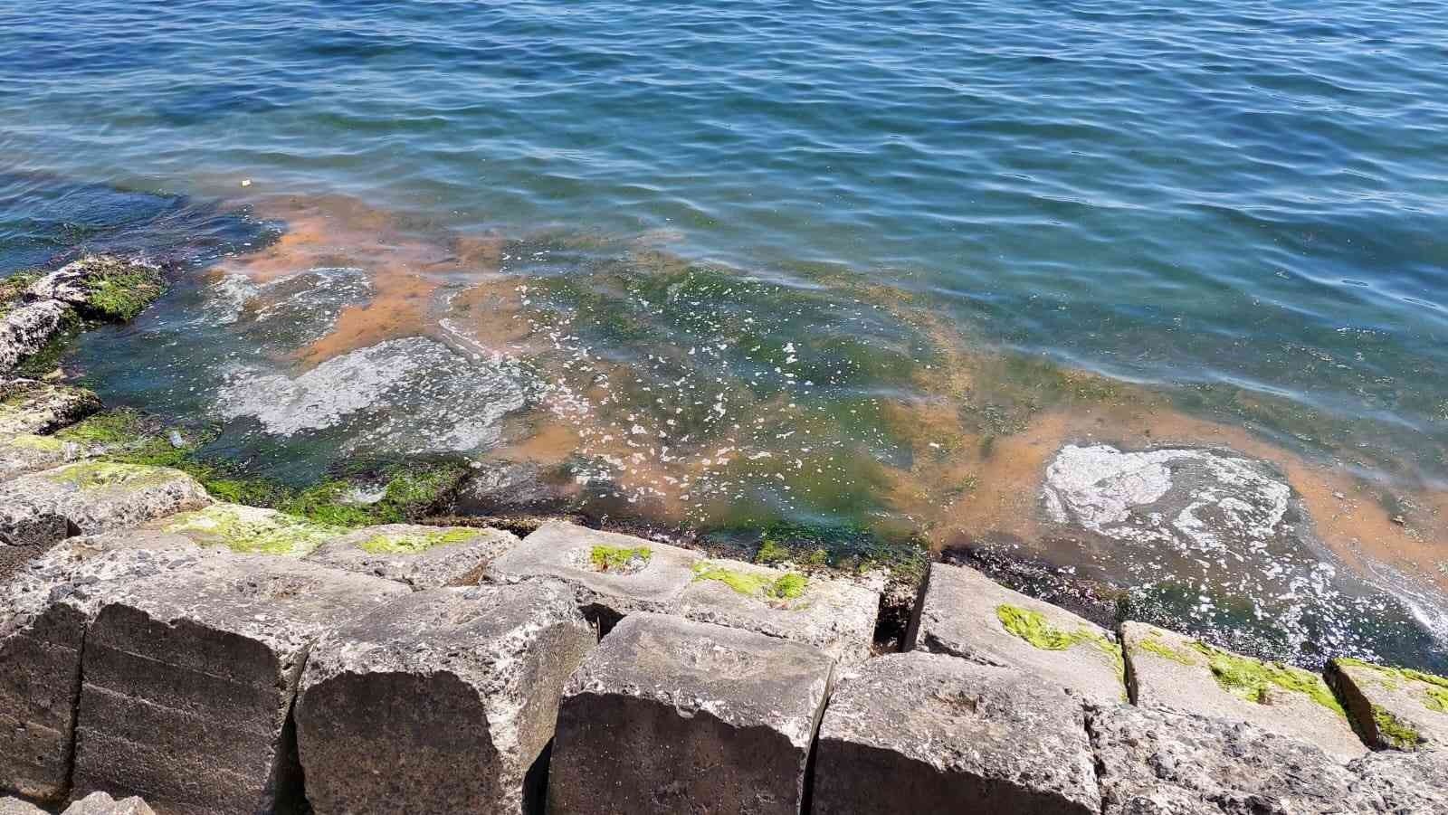 Marmara Denizinin Tekirdağ’ın kıyıları her yıl bu mevsimlerde olduğu gibi yine turuncuya boyanmaya başladı. Marmara Denizine kıyısı bulunan ...