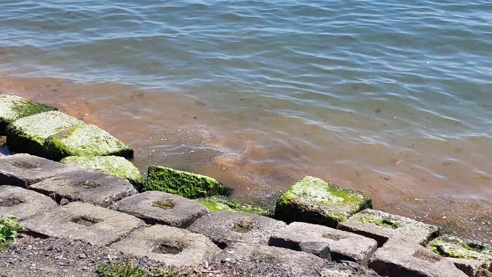 Marmara Denizinin Tekirdağ’ın kıyıları her yıl bu mevsimlerde olduğu gibi yine turuncuya boyanmaya başladı. Marmara Denizine kıyısı bulunan ...