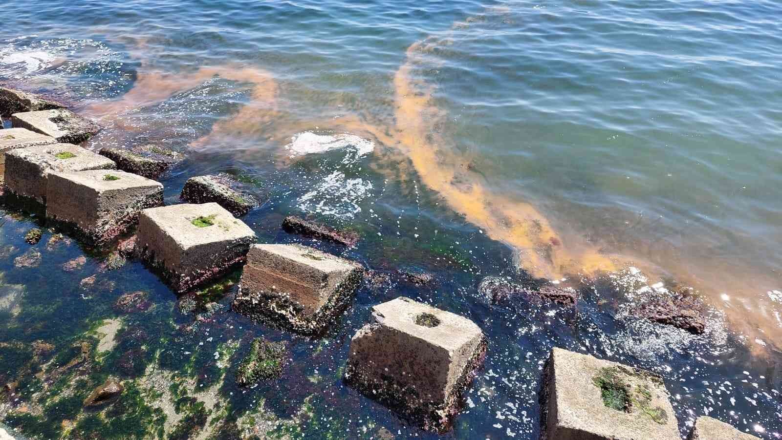 Marmara Denizinin Tekirdağ’ın kıyıları her yıl bu mevsimlerde olduğu gibi yine turuncuya boyanmaya başladı. Marmara Denizine kıyısı bulunan ...