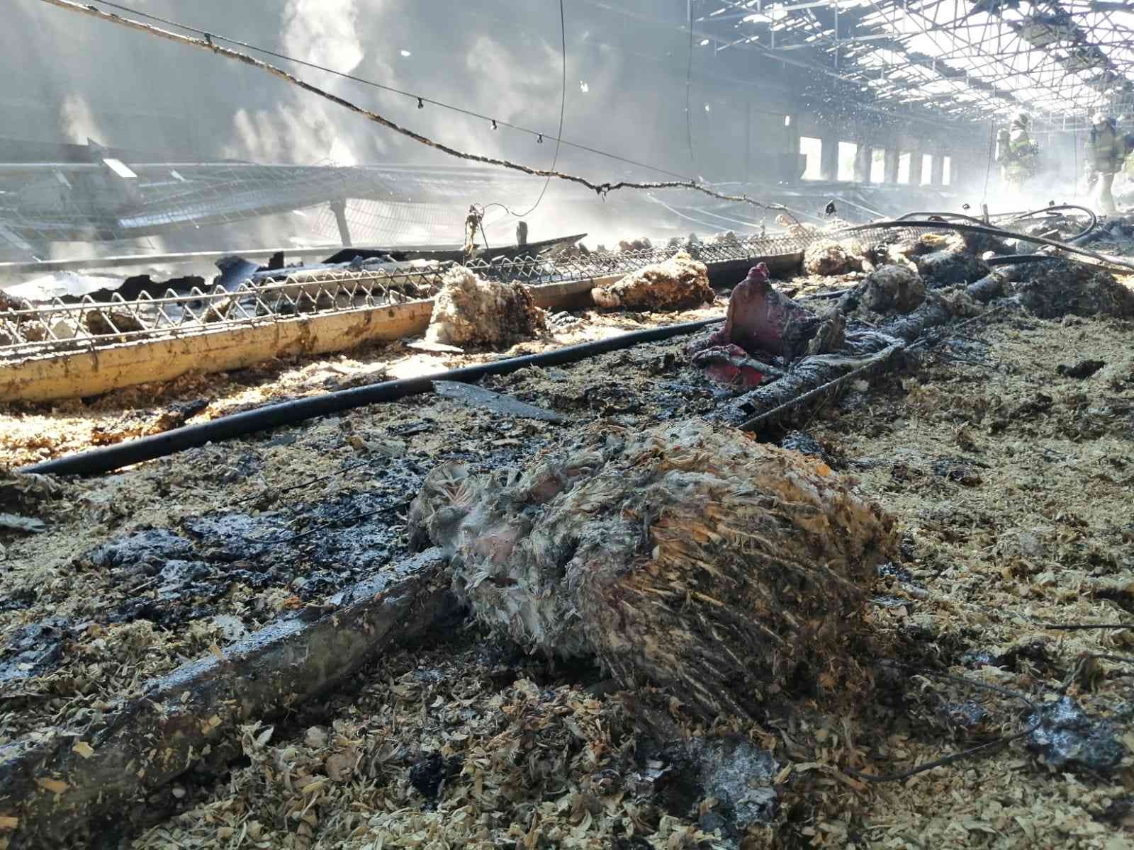 Bursa’nın Karacabey ilçesinde tavuk çiftliğinde çıkan yangında 4 bin civarında tavuk telef oldu. Edinilen bilgiye göre; Karacabey-Balıkesir ...