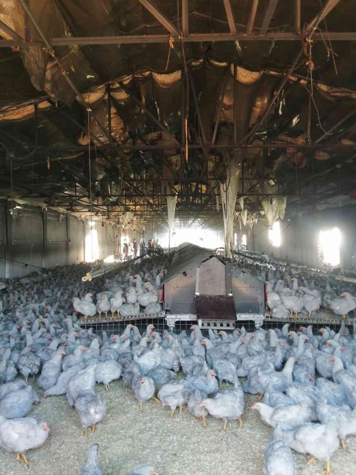 Bursa’nın Karacabey ilçesinde tavuk çiftliğinde çıkan yangında 4 bin civarında tavuk telef oldu. Edinilen bilgiye göre; Karacabey-Balıkesir ...