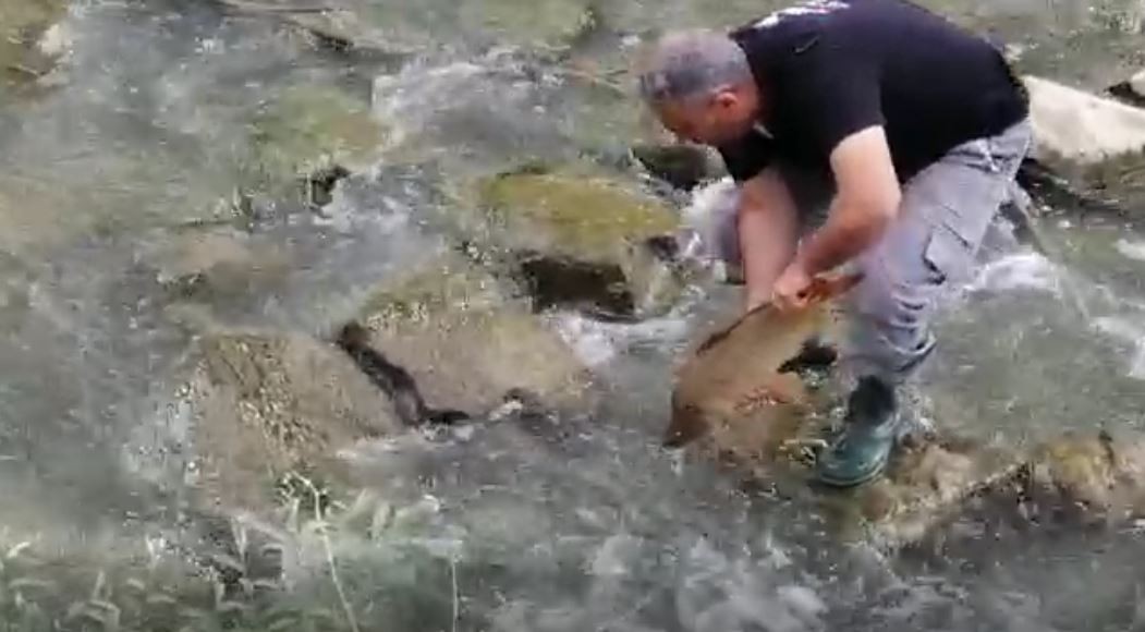 Tekirdağ’ın Malkara ilçesinde bulunan Çimendere deresinde yaşanan balık ölümleri korkutuyor. Çimendere Mahallesi’nden geçen Çimendere deresinde ...