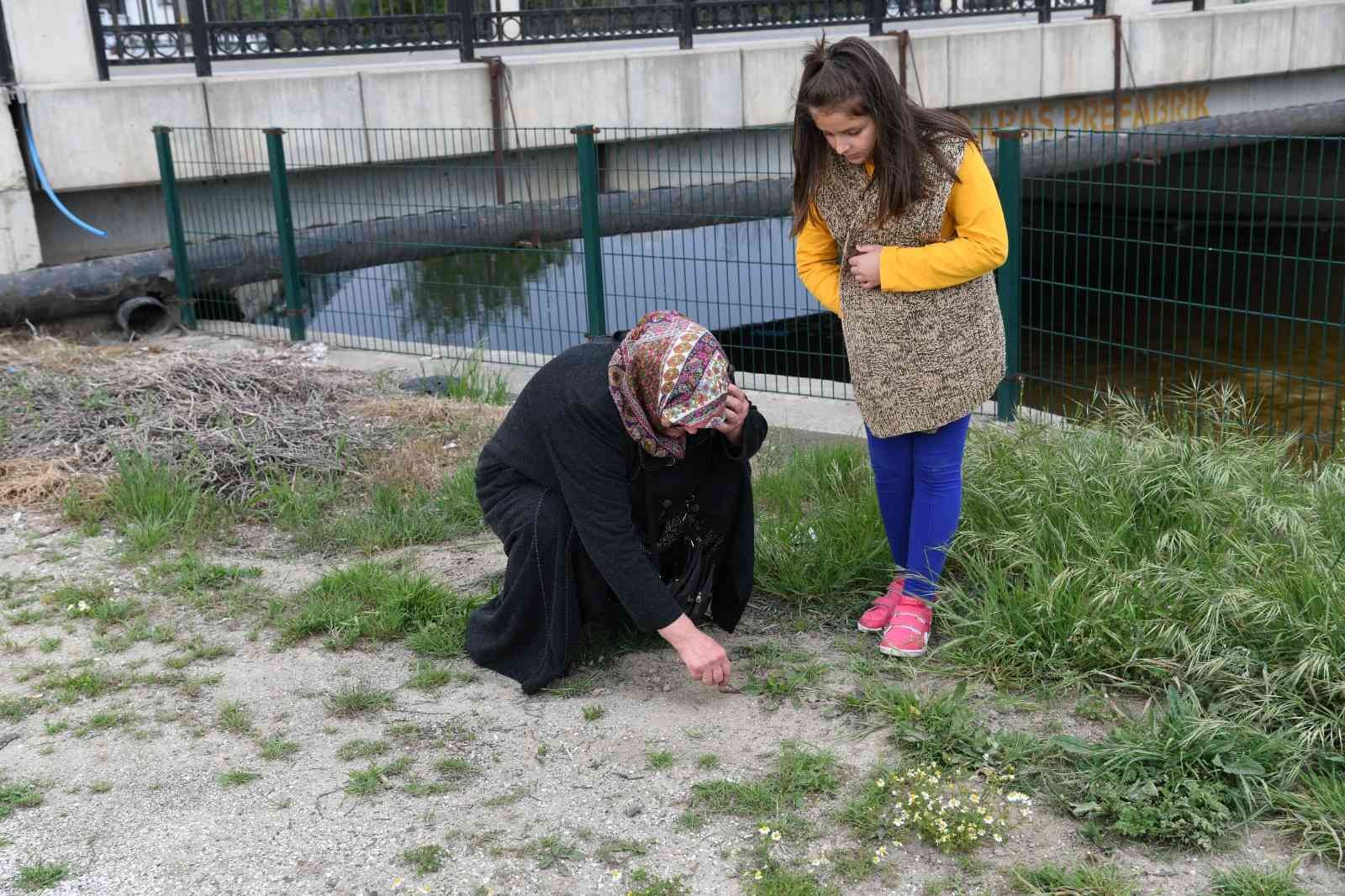 Çanakkale’nin Lapseki ilçesinde Hıdırellez Günü dolayısıyla bazı vatandaşlar meyve bahçelerine giderek dilek ve isteklerini toprağa çizdi. Genç ...