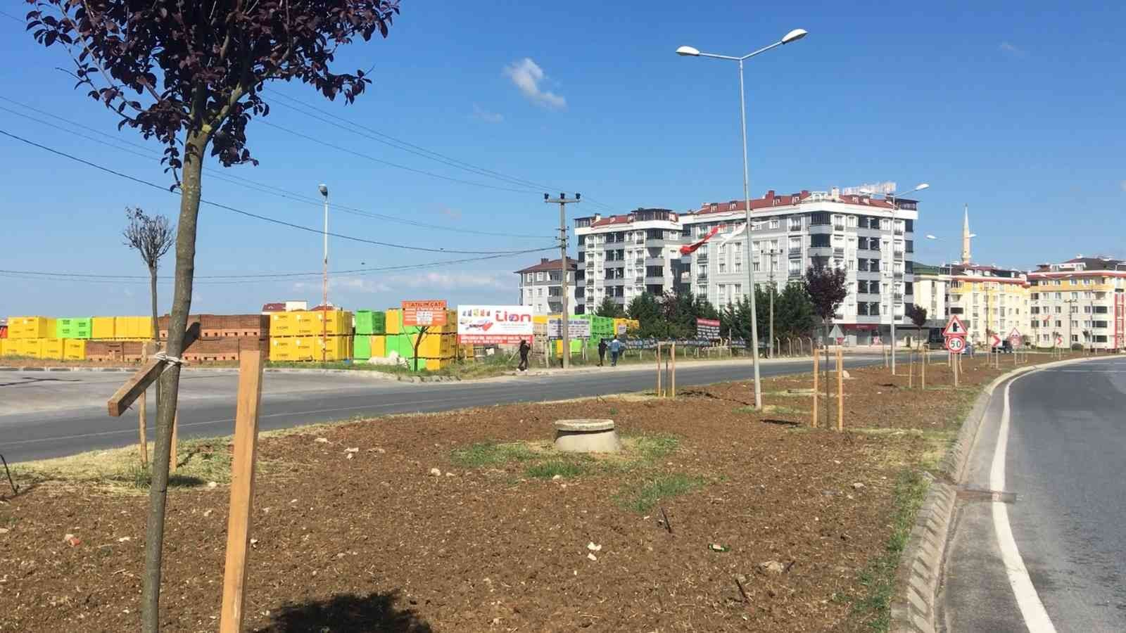 Tekirdağ’ın Çerkezköy ilçesinde yaklaşık 2 ay önce sökülen ağaçlarla ilgili verilen soru önergesine CHP’li Tekirdağ Büyükşehir Belediyesi’nin ...