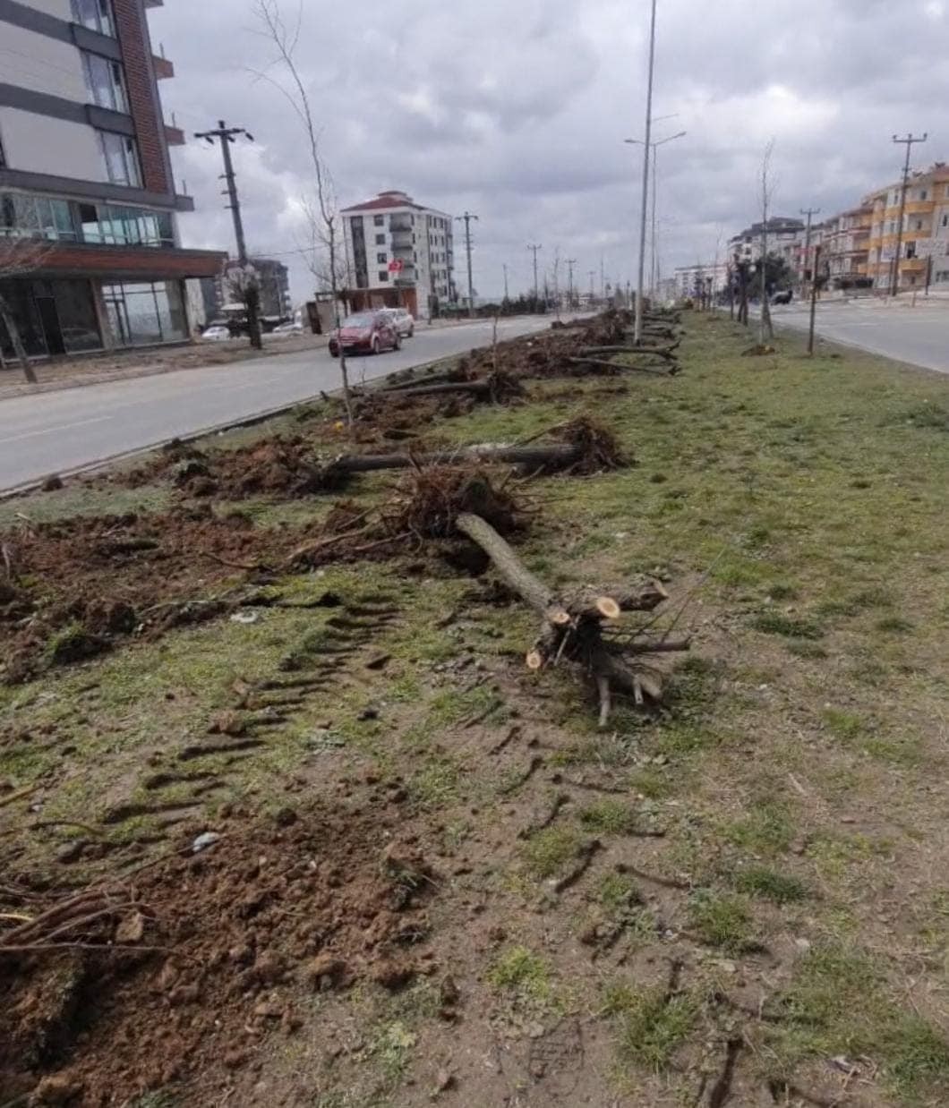 Tekirdağ’ın Çerkezköy ilçesinde yaklaşık 2 ay önce sökülen ağaçlarla ilgili verilen soru önergesine CHP’li Tekirdağ Büyükşehir Belediyesi’nin ...