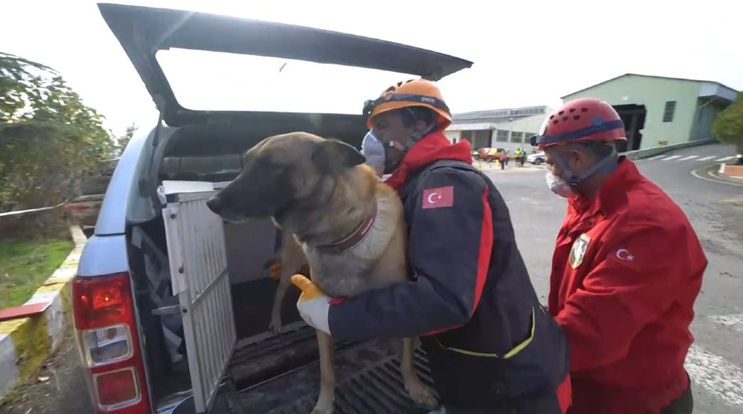 Tekirdağ’da Süleymanpaşa Arama Kurtarma ve K9 Eğitim Merkezi’nin inşasında hızla sona doğru yaklaşılıyor. Birkaç ay içerisinde hizmete girmesi ...