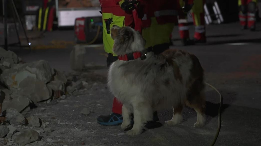 Tekirdağ’da Süleymanpaşa Arama Kurtarma ve K9 Eğitim Merkezi’nin inşasında hızla sona doğru yaklaşılıyor. Birkaç ay içerisinde hizmete girmesi ...