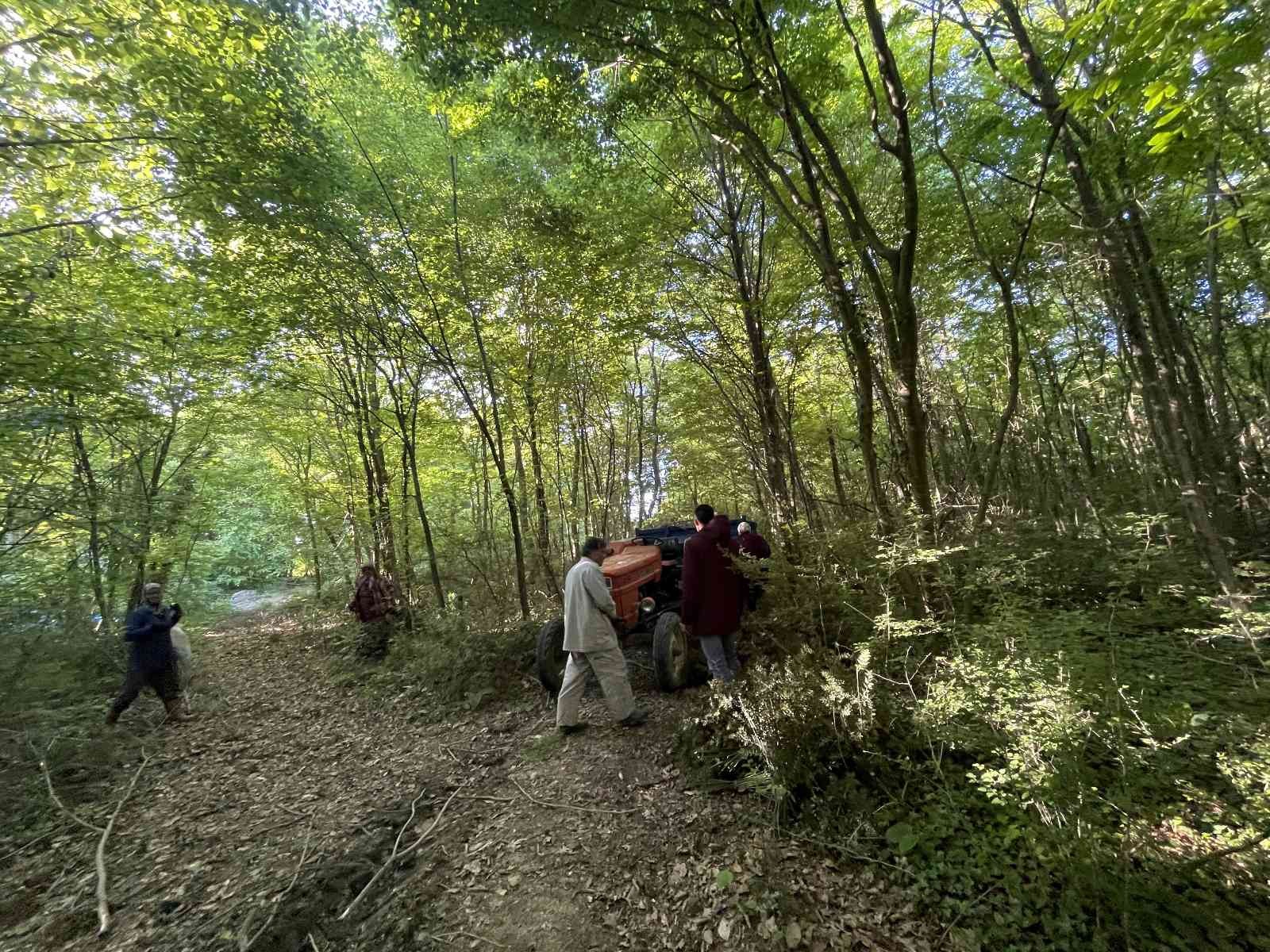 Sakarya’nın Kaynarca ilçesinde ormanlık alanda ‘tavşan memesi’ yandak dikeni olarak ta bilinen bitkiyi toplayan kadınlar zorlu şartlar altında ...