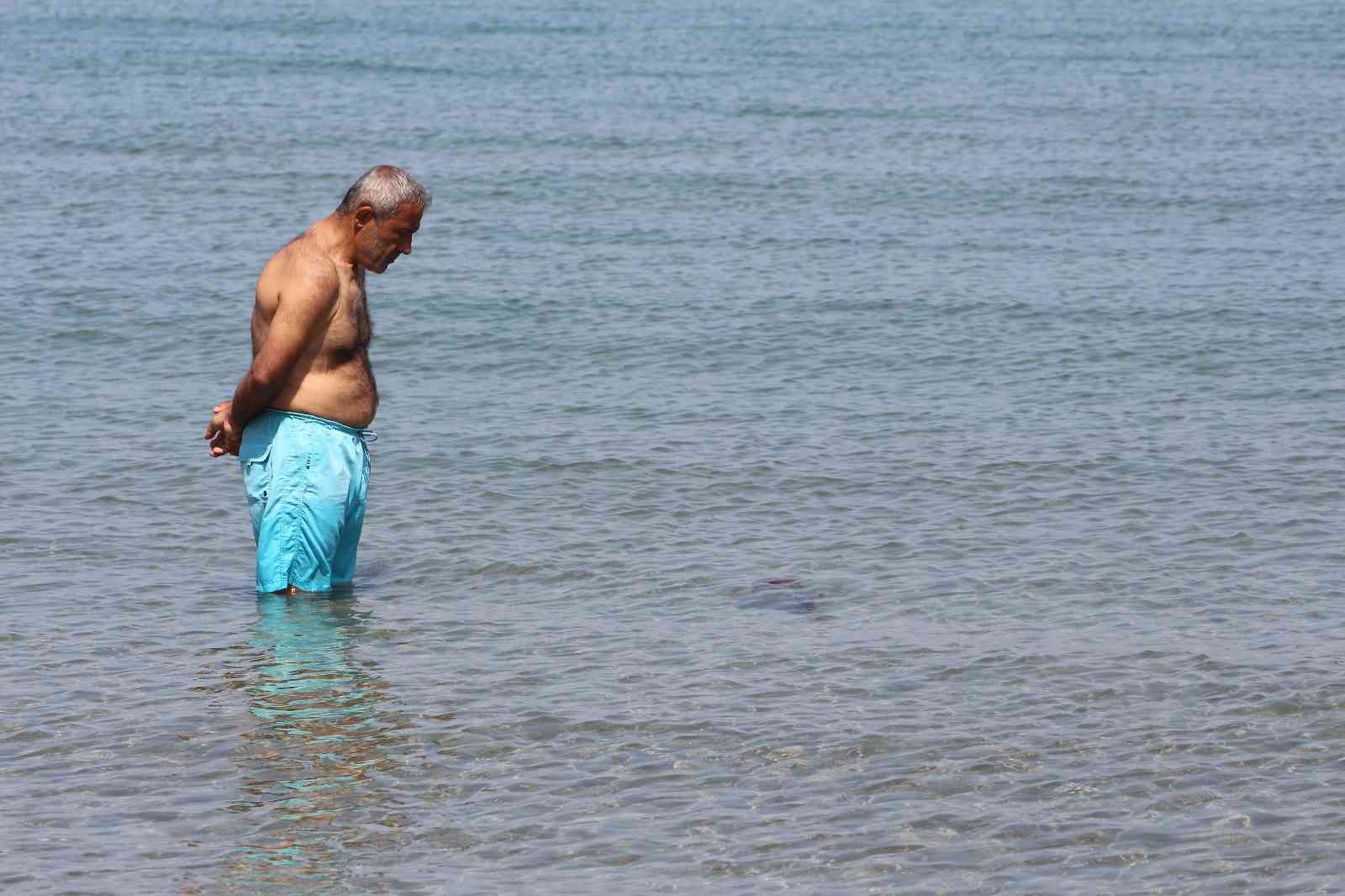 Anavatanı Akdeniz ve Ege Denizi olan zehirli denizanaları Tekirdağ kıyılarında görüldü. Marmara Denizi’nin Tekirdağ sahillerinde görülen, zehirli ...