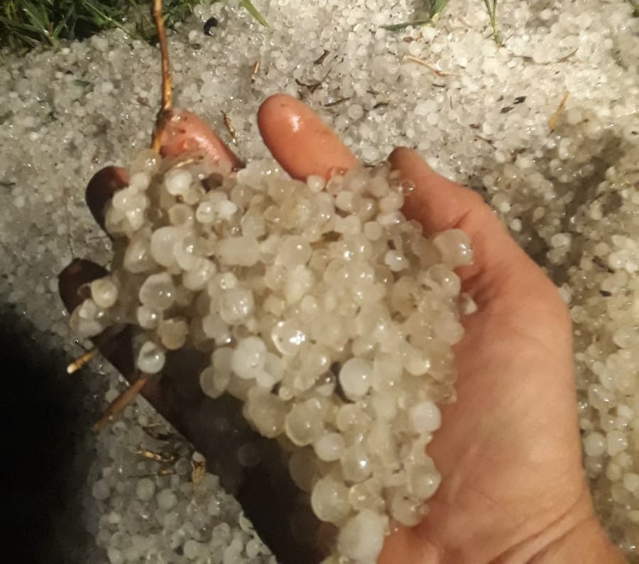 Edirne’nin Uzunköprü ilçesine bağlı 4 köydeki ekili tarım arazileri, dolu yağışı nedeniyle zarar gördü. Edirne’nin Uzunköprü ilçesine bağlı ...