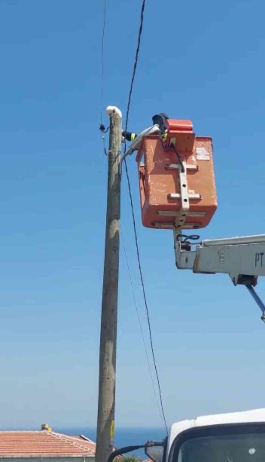 Tekirdağ’da elektrik direğinin tepesine çıkan yavru kedi güçlükle kurtarıldı. Tekirdağ’ın Süleymanpaşa ilçesine bağlı Topağaç Mahallesi’nde ...