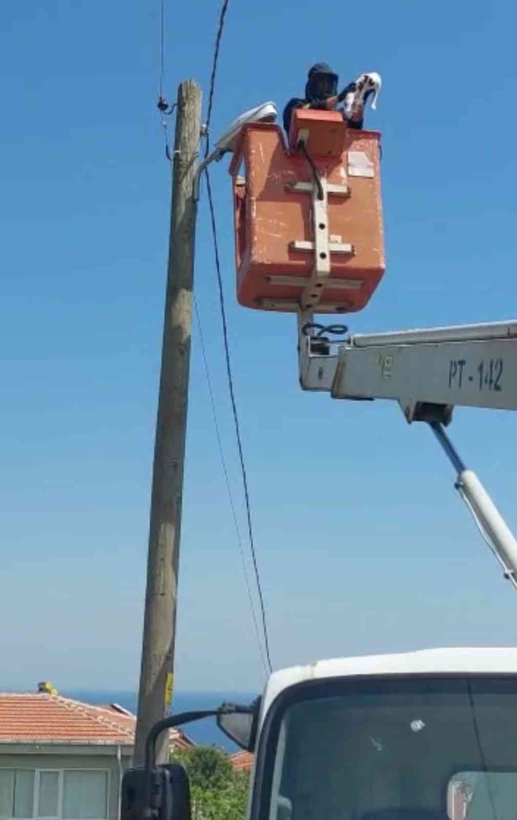 Tekirdağ’da elektrik direğinin tepesine çıkan yavru kedi güçlükle kurtarıldı. Tekirdağ’ın Süleymanpaşa ilçesine bağlı Topağaç Mahallesi’nde ...