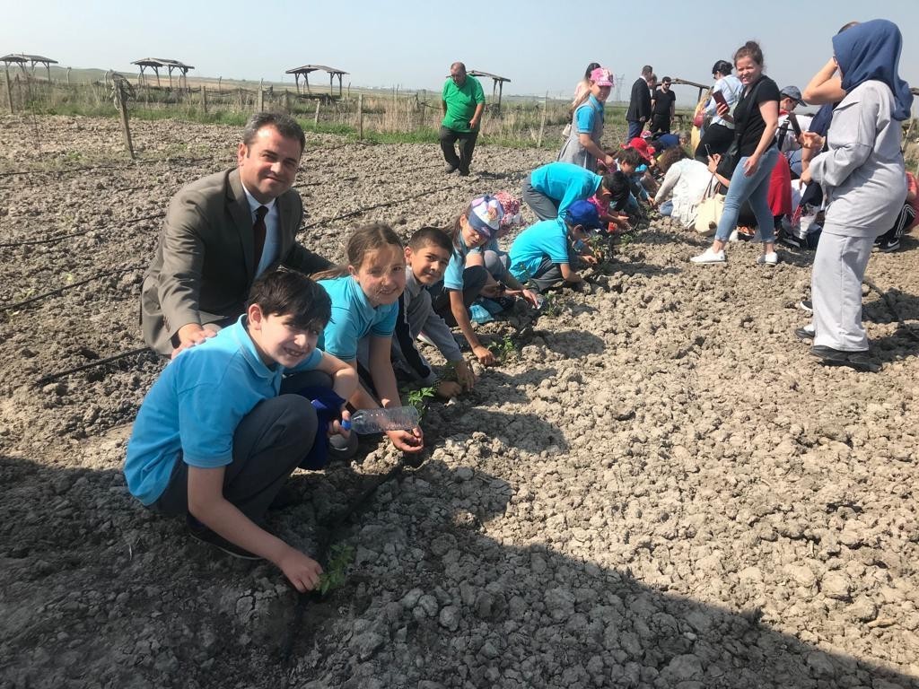 Tekirdağ’ın Ergene ilçesinde öğrenciler, ’Haydi Çocuklar Toprakla Buluşmaya’ etkinlikleri çerçevesinde Ulaş Mahallesi’nde bulunan hobi bahçesinde ...