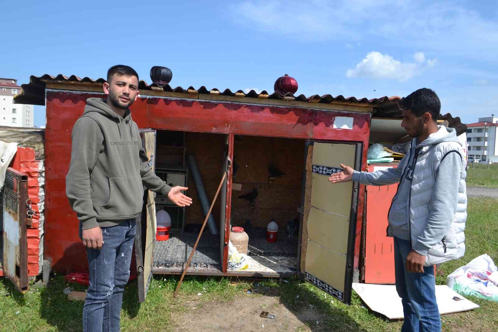 Tekirdağ’da güvercin kafesini kıran hırsızlar, 40 güvercini çalarak kayıplara karıştı. Olayın ardından konuşan güvercin sahipleri, “Gelip bizden ...