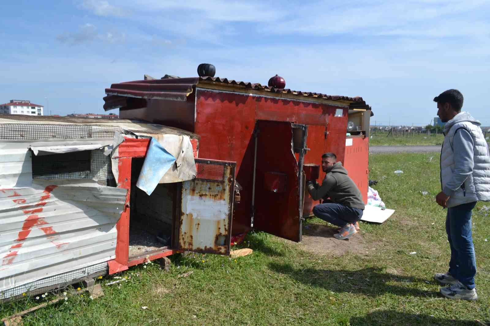 Tekirdağ’da güvercin kafesini kıran hırsızlar, 40 güvercini çalarak kayıplara karıştı. Olayın ardından konuşan güvercin sahipleri, “Gelip bizden ...