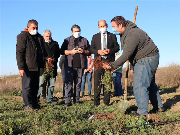 Trakya Üniversitesi Havsa Meslek Yüksekokulunun hayata geçirdiği Tıbbi ve Aromatik Bitkiler Bahçesi, çeşitlenmeye ve genişlemeye devam ediyor ...