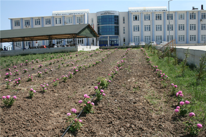 Trakya Üniversitesi Havsa Meslek Yüksekokulunun hayata geçirdiği Tıbbi ve Aromatik Bitkiler Bahçesi, çeşitlenmeye ve genişlemeye devam ediyor ...