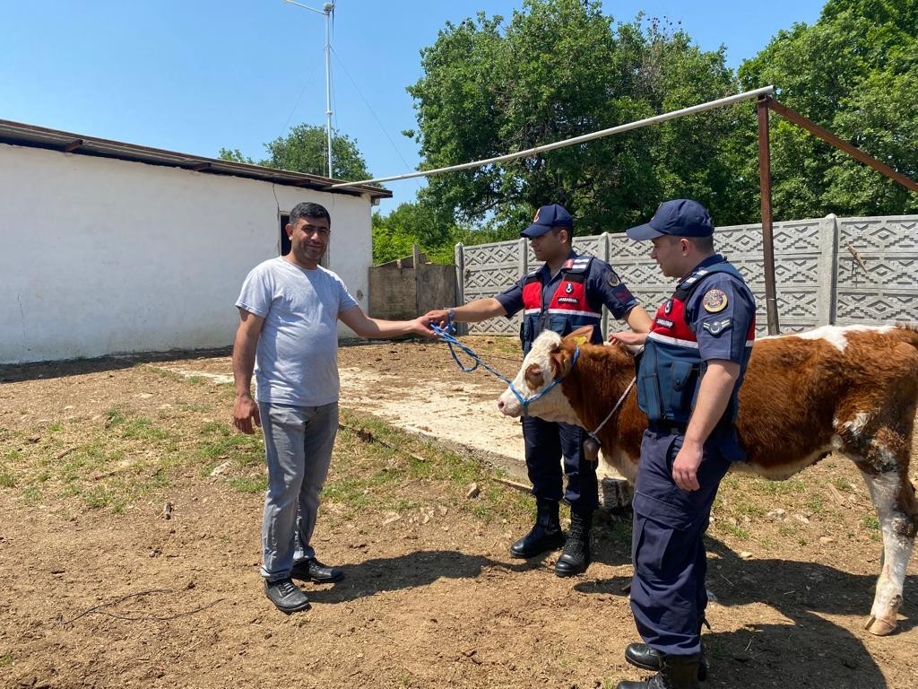 Kırklareli’nde kaybolan büyükbaş hayvanı jandarma ekipleri buldu. Alınan bilgiye göre, Lüleburgaz İlçesi Karaağaç Köyünde büyükbaş hayvancılıkla ...