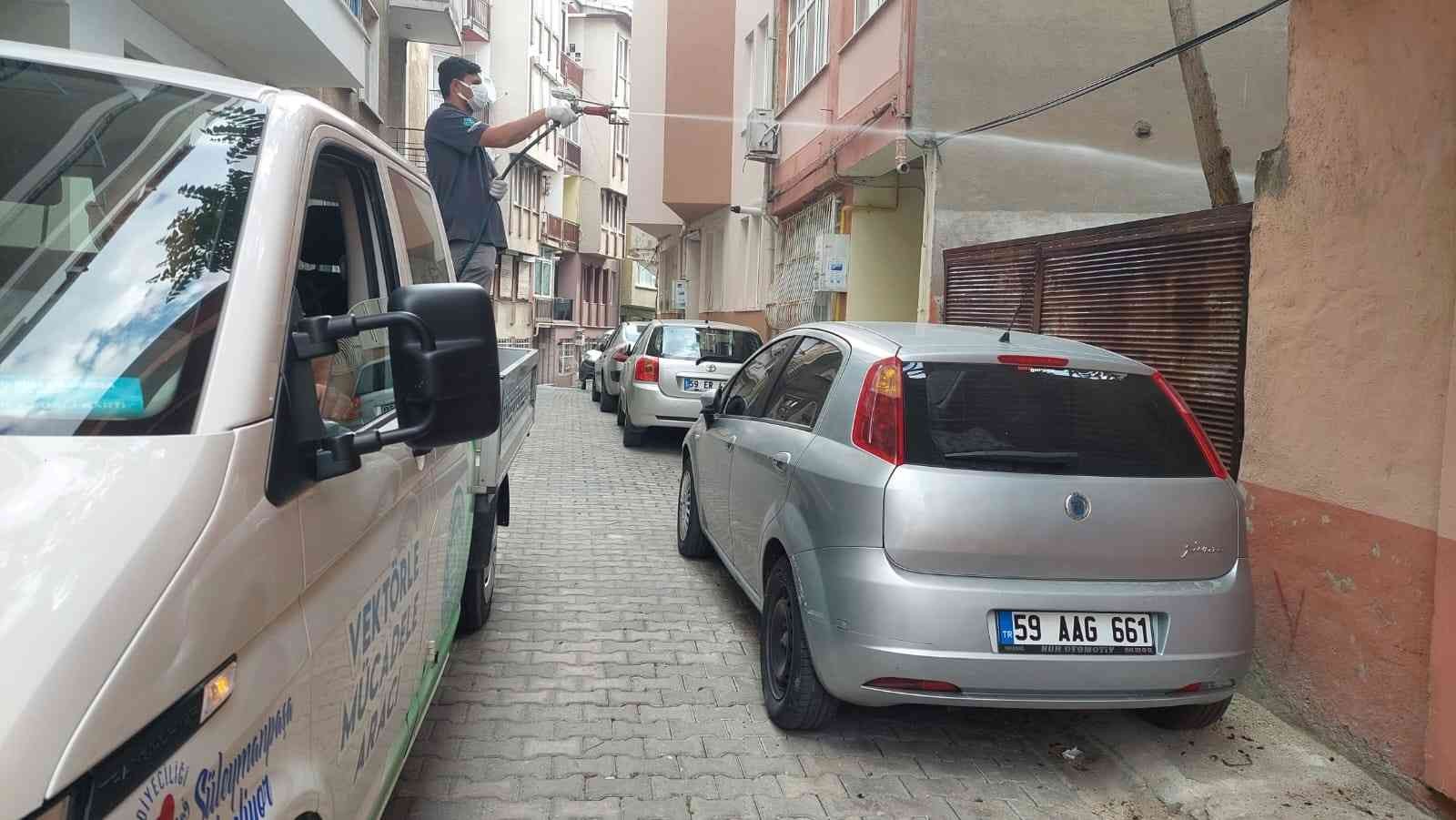 Tekirdağ’ın şehir merkezinde kanalizasyonlardan çıkan sürüler halindeki hamam böcekleri sokakları istila etti. Hamam böcekleri, gündüz ölü ...