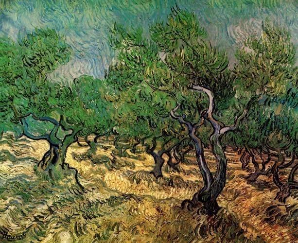 Küçükçekmece Belediyesi, 3.Uluslararası Masal Festivali çerçevesinde “Vincent Van Gogh ile Birlikte Zeytin Ağaçları Gölgesinde” belgesel ...