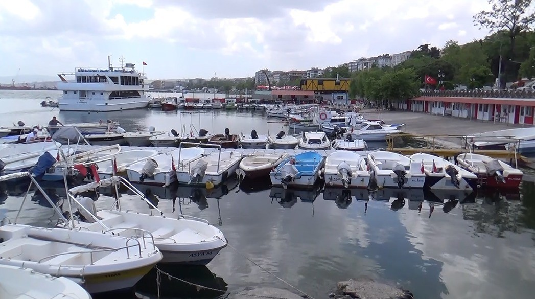 Tekirdağlı balıkçılar, avlanma sahalarına bıraktıkları ağlara dadanan yunuslar sebebiyle hem ağlarını hem de tuttukları balıkları kaybediyor ...