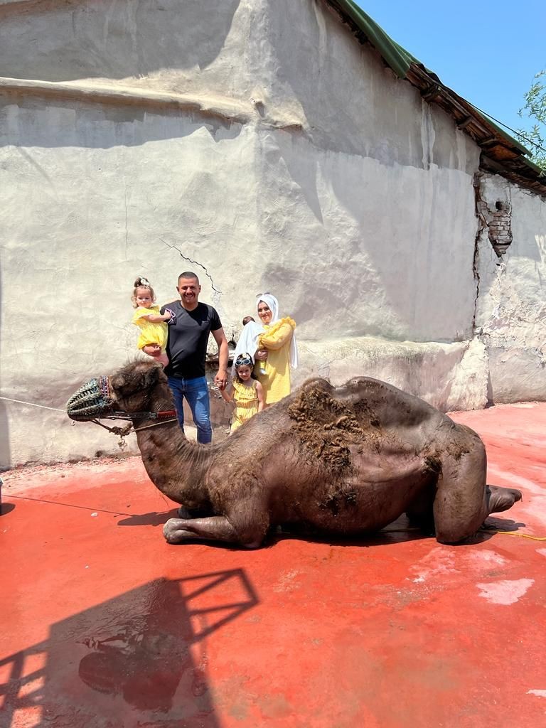 Sakarya’nın Geyve ilçesinde esnaflık yapan ve erkek çocuğu olduğu takdirde deve kurban etme adağında bulunan şahıs, sözünü tuttu. Aflal ve Afra ...